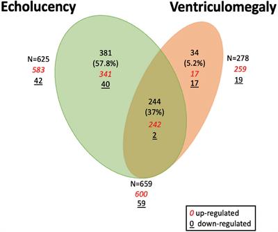 Placental transcriptional signatures associated with cerebral white matter damage in the neonate